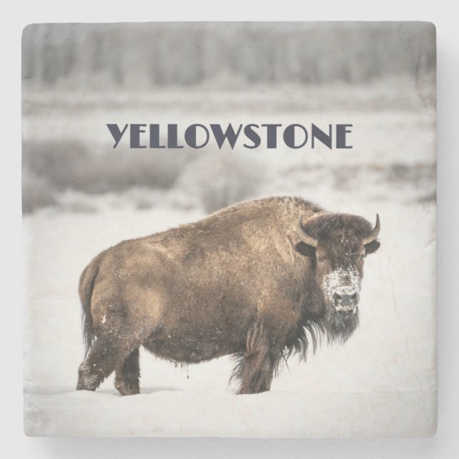 Dessous-de-verre En Pierre Yellowstone Snowy Buffalo Souvenir Dessous de verr (Devant)
