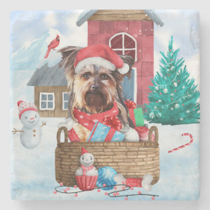 Dessous-de-verre En Pierre Yorkshire Terrier Chien dans la neige Maison de ch