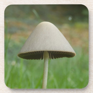 Dessous de verre en plastique dur du champignon Co