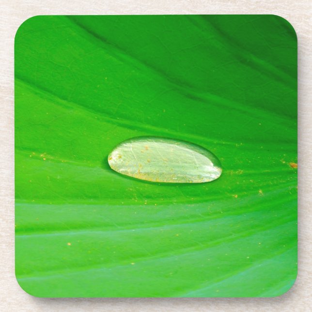 Dessous de verre en plastique dur Lily Pad (Devant)