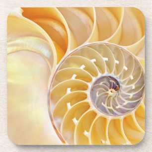 Dessous de verre en plastique dur Nautilus