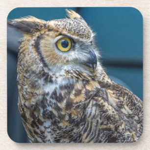 Dessous de verre en plastique durs de hibou