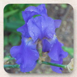 Dessous de verre en plastique durs d'iris bleu