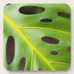 Dessous de verre en plastique d'usine de fromage