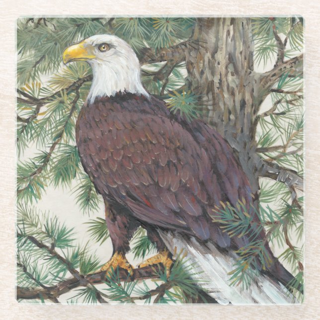 Dessous-de-verre En Verre Aigle à tête blanche (Devant)