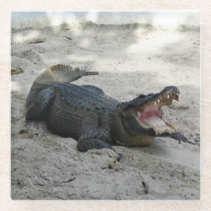 Dessous-de-verre En Verre Alligator, Fort Lauderdale, Floride