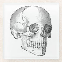 Anatomie Médicale dessin vintage crâne monochrome