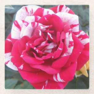 Dessous-de-verre En Verre Ancienne