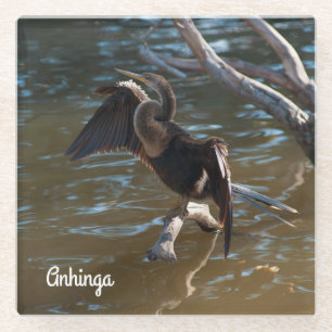 Dessous-de-verre En Verre Anhinga