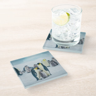 Dessous-de-verre En Verre Animaux de bébés cutest   Alimentation de pingouin