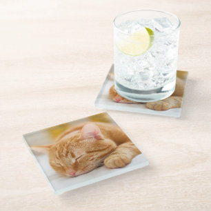 Dessous-de-verre En Verre Animaux de bébés cutest   Chat de gingembre dorman