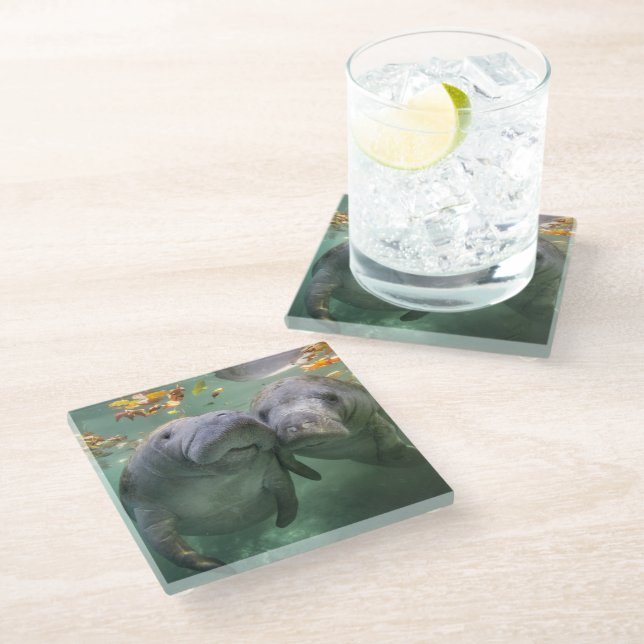 Dessous-de-verre En Verre Animaux de bébés cutest | Deux Manatees (Incliné)
