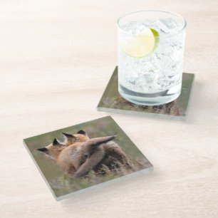 Dessous-de-verre En Verre Animaux de bébés cutest   Tails de verrouillage de