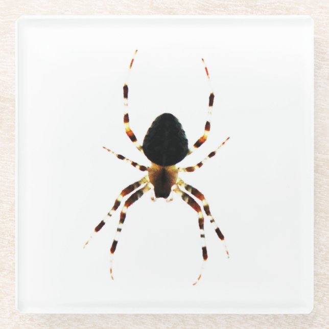 Dessous-de-verre En Verre Araignée (Devant)