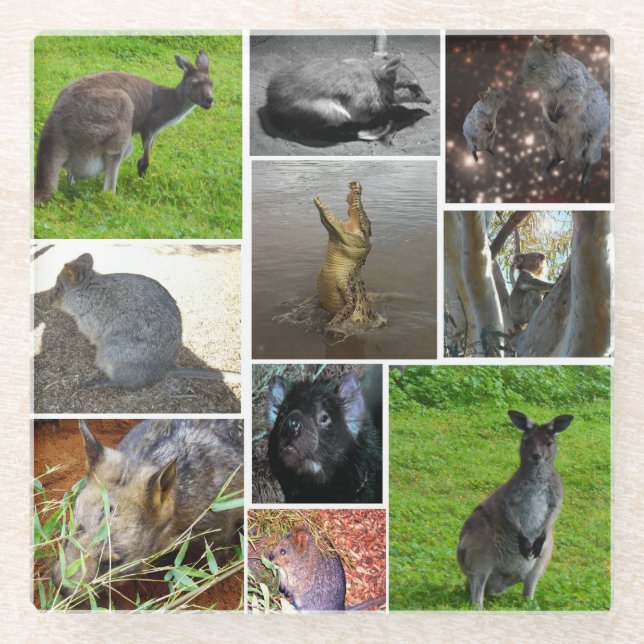 Dessous-de-verre En Verre Australian Wildlife Photo Collage, (Devant)