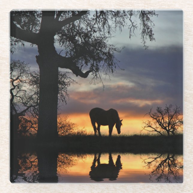 Dessous-de-verre En Verre Beau cheval et nature (Devant)
