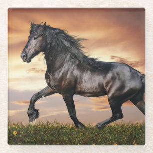 Dessous-de-verre En Verre Beau Cheval Noir