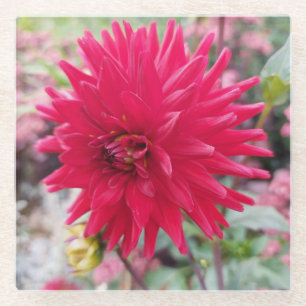 Dessous-de-verre En Verre Belle Fleur Dahlia Rose