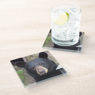 Dessous-de-verre En Verre Belle Ours Noir