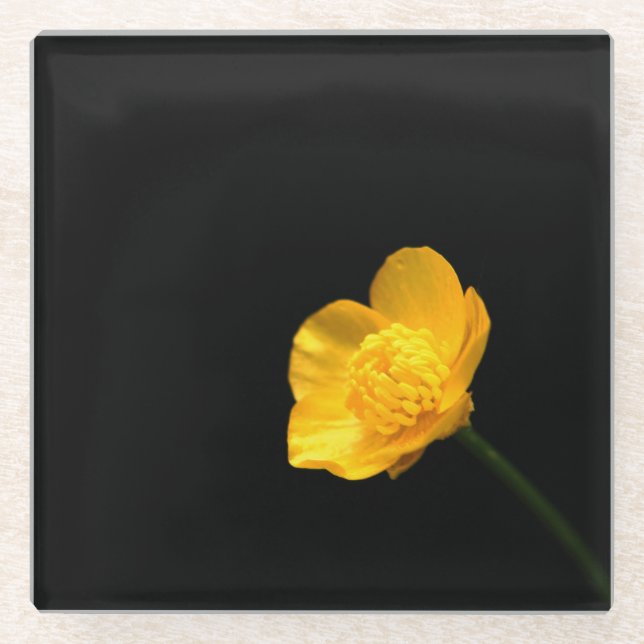 Dessous-de-verre En Verre Beurre Castère à fleurs (Devant)