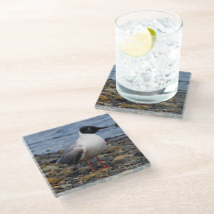 Dessous-de-verre En Verre Bizarre de mer à la plage de Bonaparte