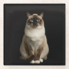 Dessous-de-verre En Verre Black 4 Luxe Glass coaster, Birmanese Cat