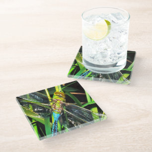 Dessous-de-verre En Verre Bleu Dragonfly Shimmering Wings Peinture