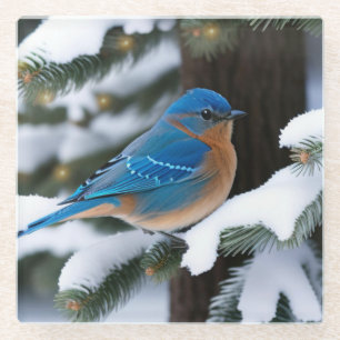 Dessous-de-verre En Verre Bluebird d'hiver