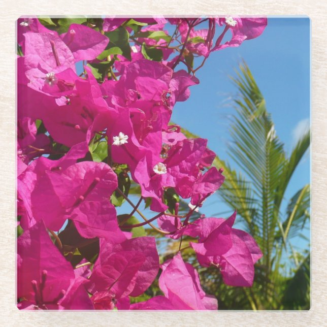 Dessous-de-verre En Verre Bougainvilliers et palmiers paysage tropical (Devant)