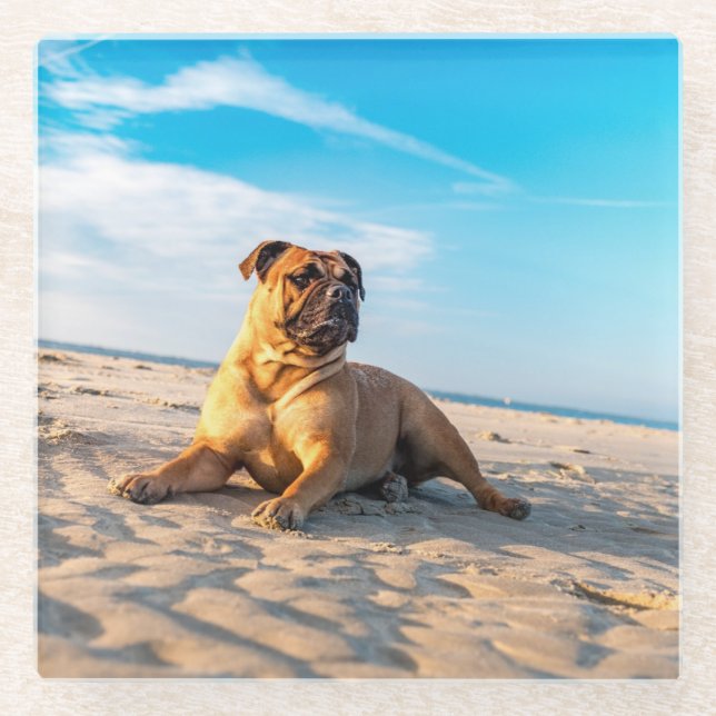 Dessous-de-verre En Verre bouledogue à la plage (Devant)