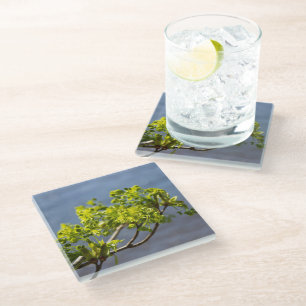 Dessous-de-verre En Verre Branche verte mignonne dans le vent
