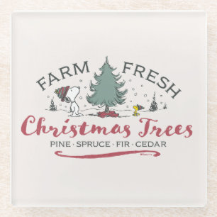 Dessous-de-verre En Verre cacahuètes   Arbres de Noël frais de ferme