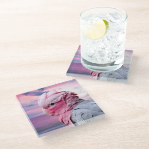 Dessous-de-verre En Verre Cacatoès de Galah