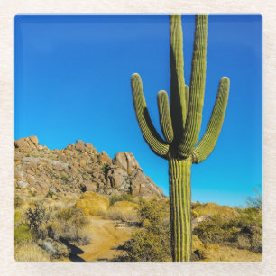 Dessous-de-verre En Verre Cactus debout