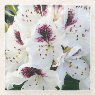 Dessous-de-verre En Verre Calsap Rhododendrons