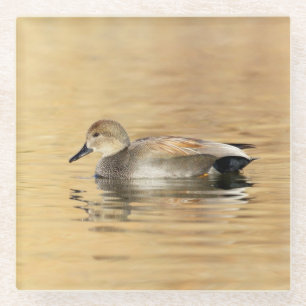Dessous-de-verre En Verre Canard à mâle