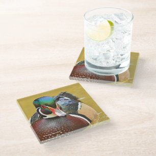 Dessous-de-verre En Verre Canard branchu époustouflant dans l'étang