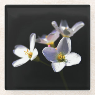 Dessous-de-verre En Verre Cardamine Pratensis Fleurs coastercnm