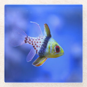Dessous-de-verre En Verre Cardinalfish de pyjama