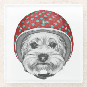 Dessous-de-verre En Verre Casse-cou de Yorkshire Terrier
