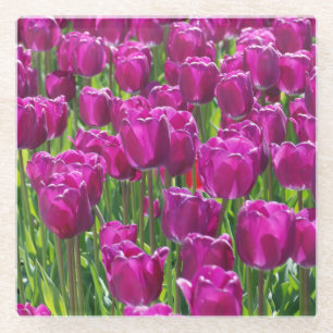 Dessous-de-verre En Verre Champ de tulipes violettes