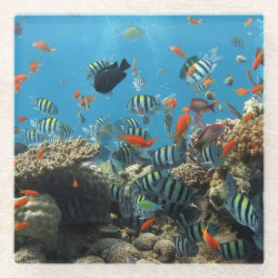 Dessous-de-verre En Verre Chaos tropical de poissons