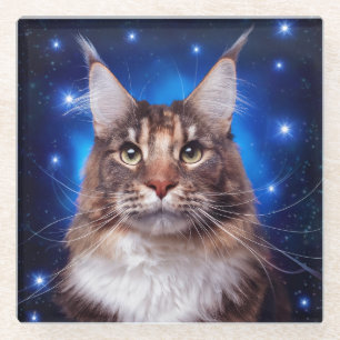 Dessous-de-verre En Verre Chat Maine Coon Fond Bleu Étoiles