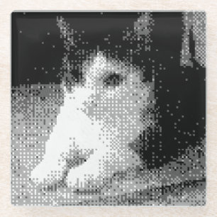 Dessous-de-verre En Verre chat pixélisé