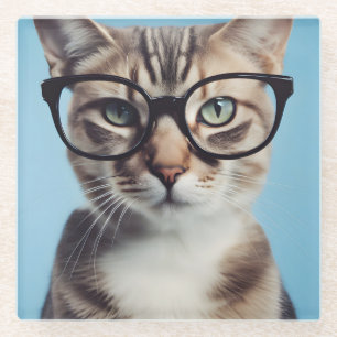 Dessous-de-verre En Verre Chat portant des lunettes