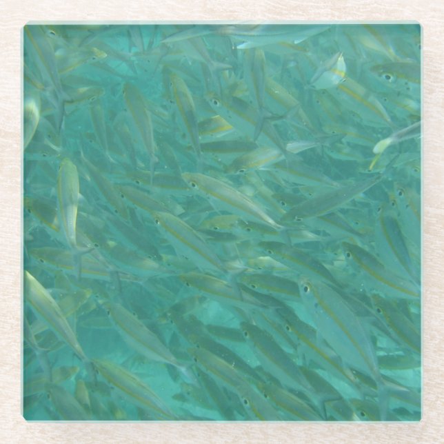 Dessous-de-verre En Verre Chaussure de poisson (Devant)