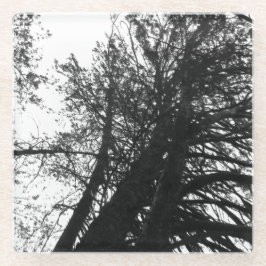 Dessous-de-verre En Verre Cherchez dans les arbres