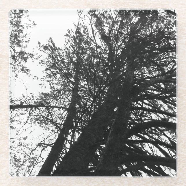 Dessous-de-verre En Verre Cherchez dans les arbres (Devant)