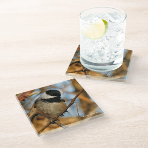 Dessous-de-verre En Verre Chickadee Songbird, Joli Espérant