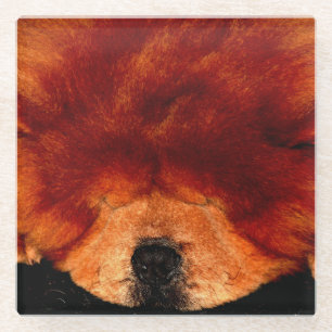 Dessous-de-verre En Verre Chow Chow Chow Coastercna